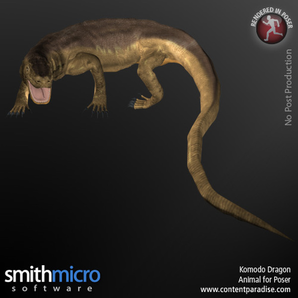 Komodo Dragon by N/A
