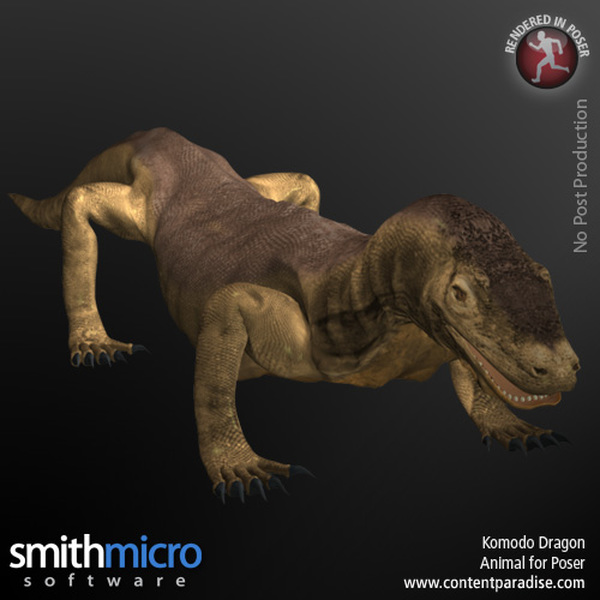 Komodo Dragon by N/A
