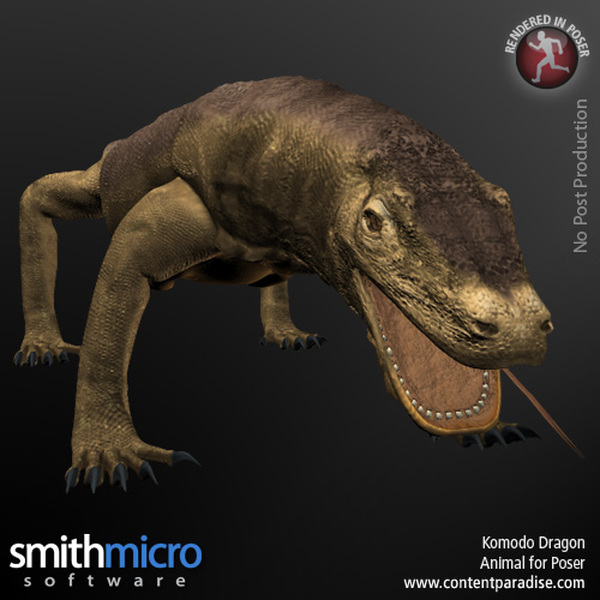 Komodo Dragon by N/A