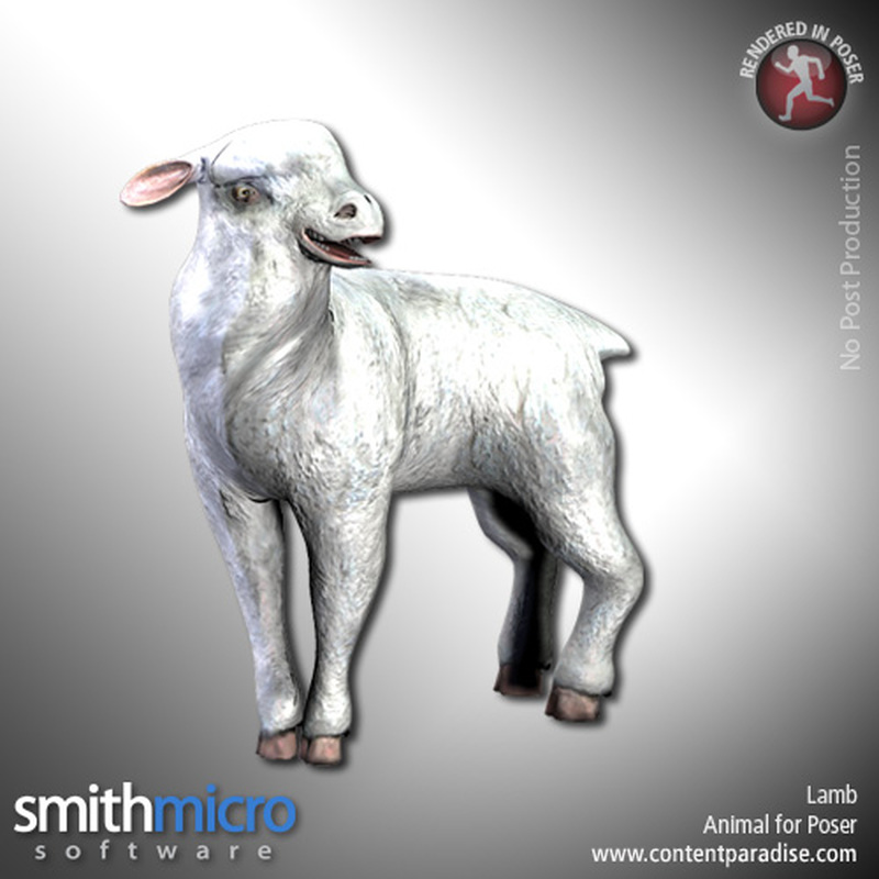 Lamb by N/A