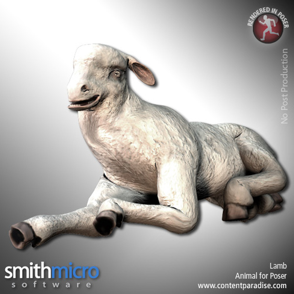 Lamb by N/A
