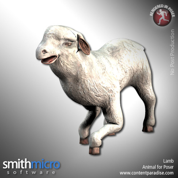 Lamb by N/A
