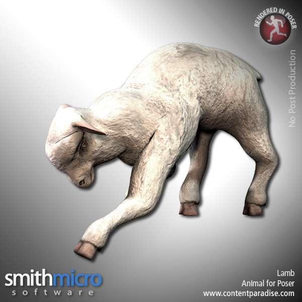 Lamb by N/A