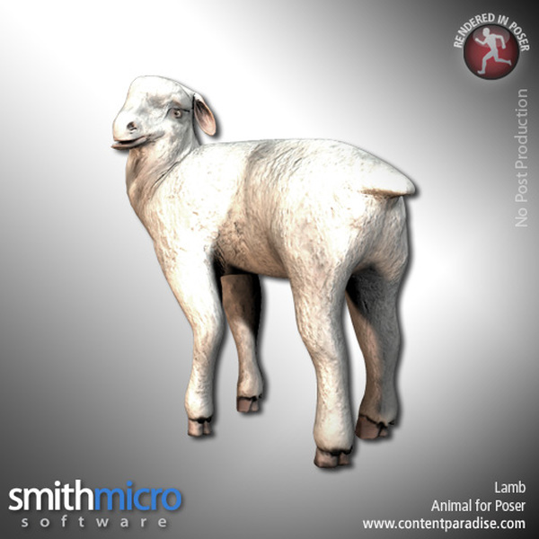 Lamb by N/A
