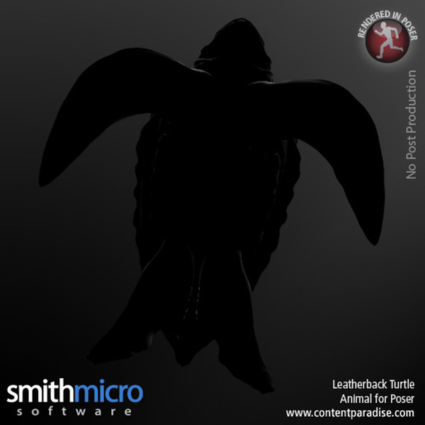 Leatherback Turtle by N/A