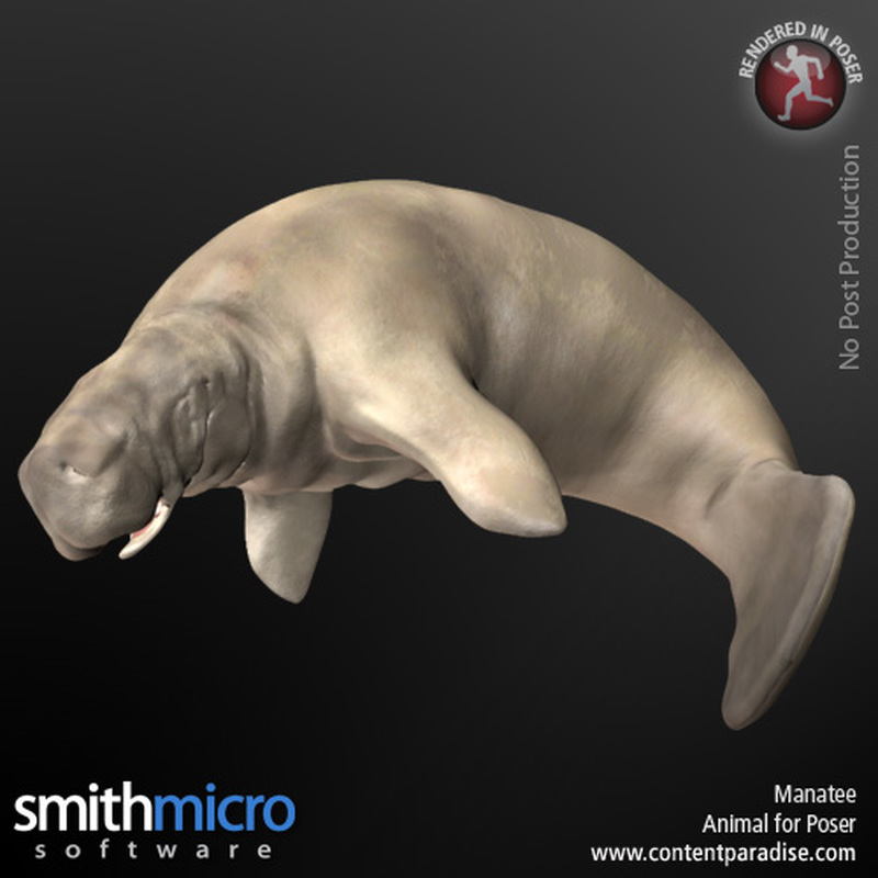 Manatee by N/A