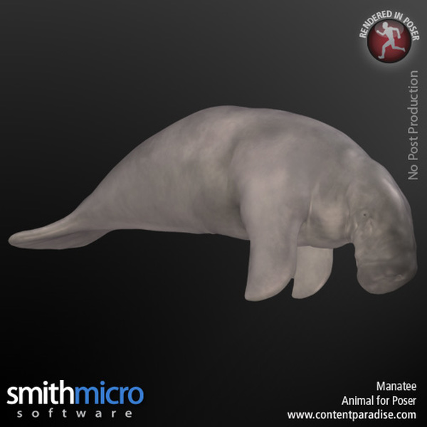 Manatee by N/A