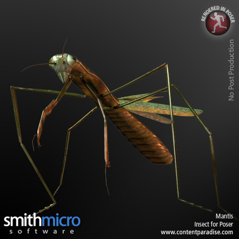 Mantis by N/A