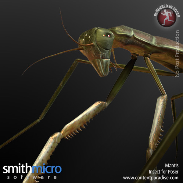 Mantis by N/A