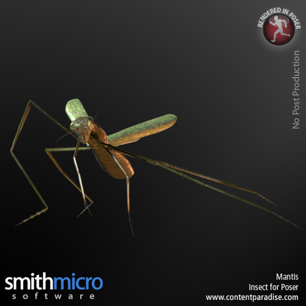 Mantis by N/A