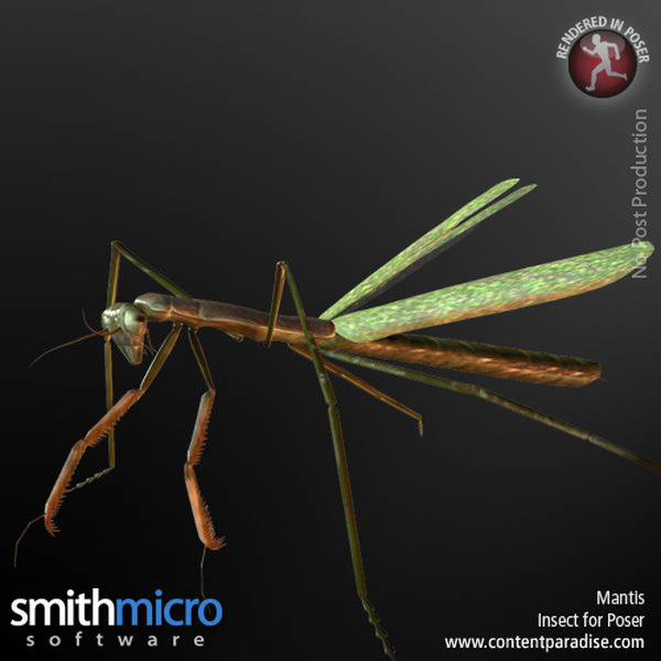 Mantis by N/A