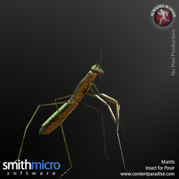 Mantis by N/A