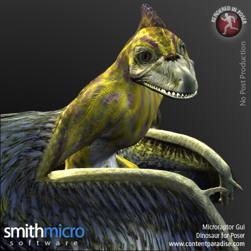 Microraptor Gui by N/A