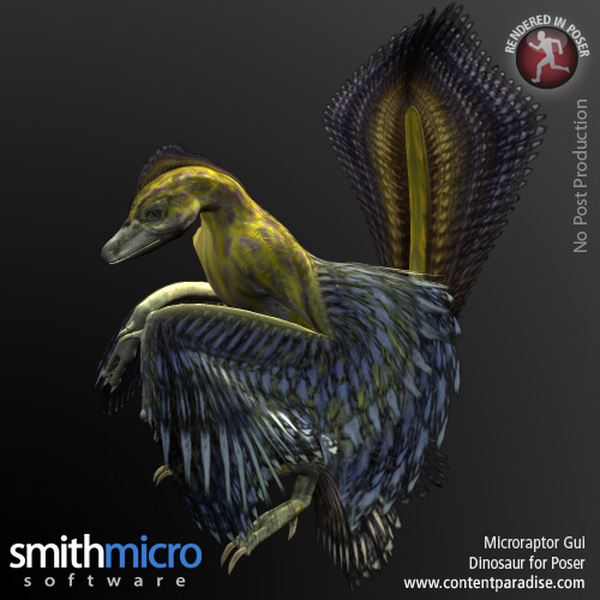 Microraptor Gui by N/A