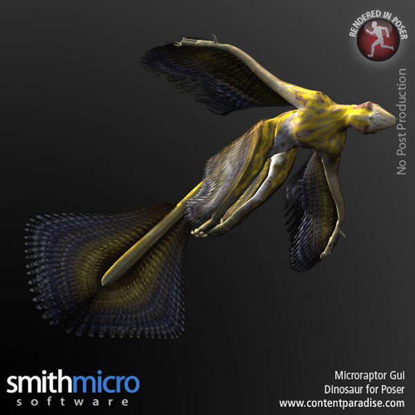 Microraptor Gui by N/A