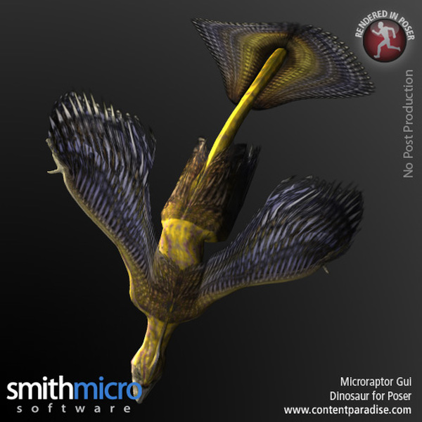 Microraptor Gui by N/A