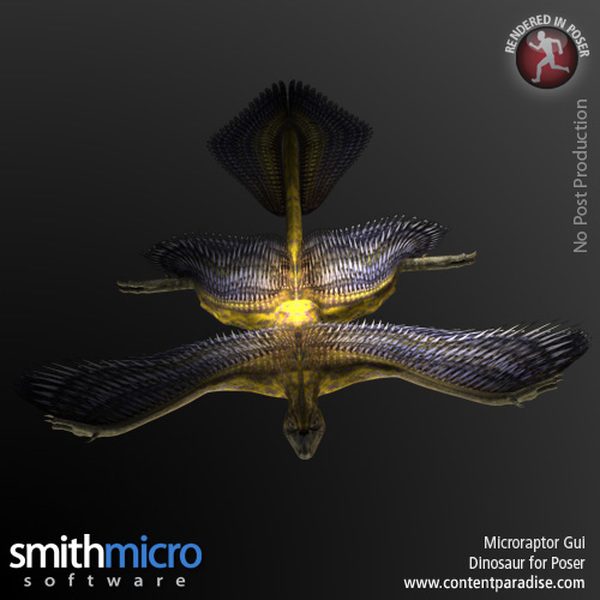 Microraptor Gui by N/A