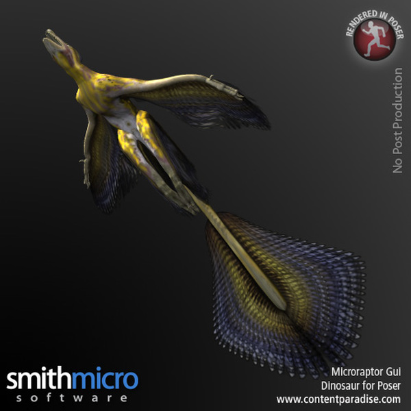 Microraptor Gui by N/A