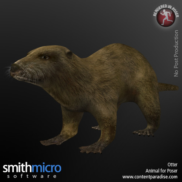 Otter by N/A