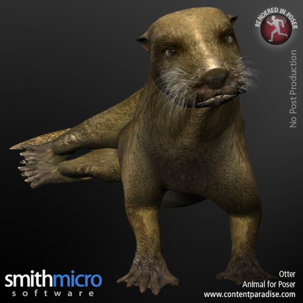 Otter by N/A
