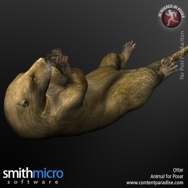 Otter by N/A