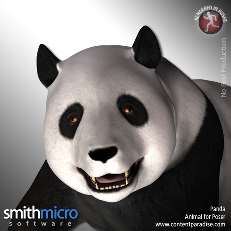 Panda by N/A