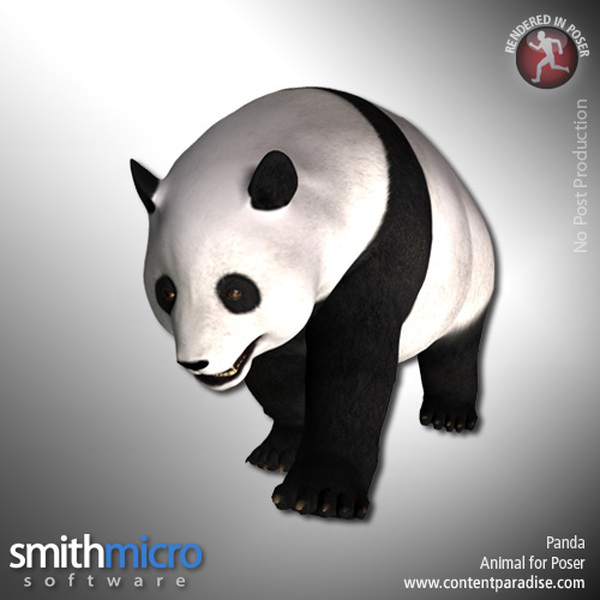 Panda by N/A