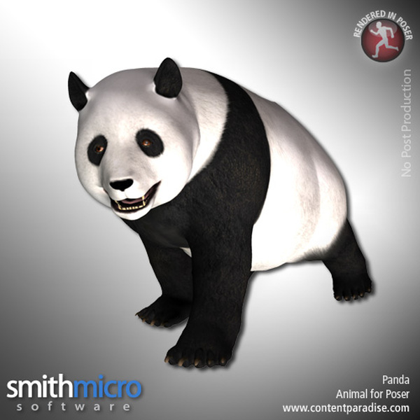Panda by N/A