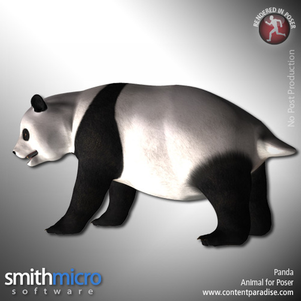 Panda by N/A