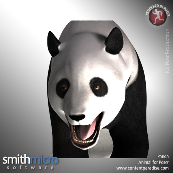 Panda by N/A