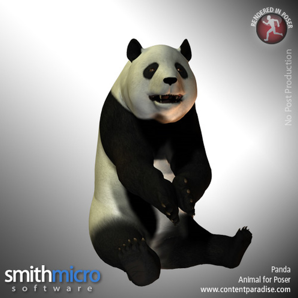 Panda by N/A