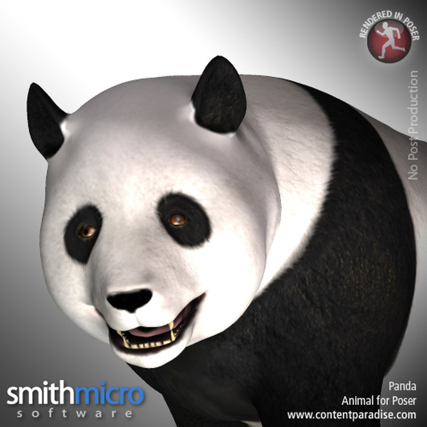 Panda by N/A