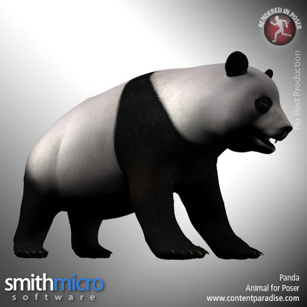 Panda by N/A