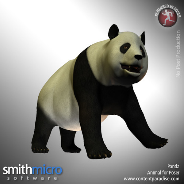 Panda by N/A