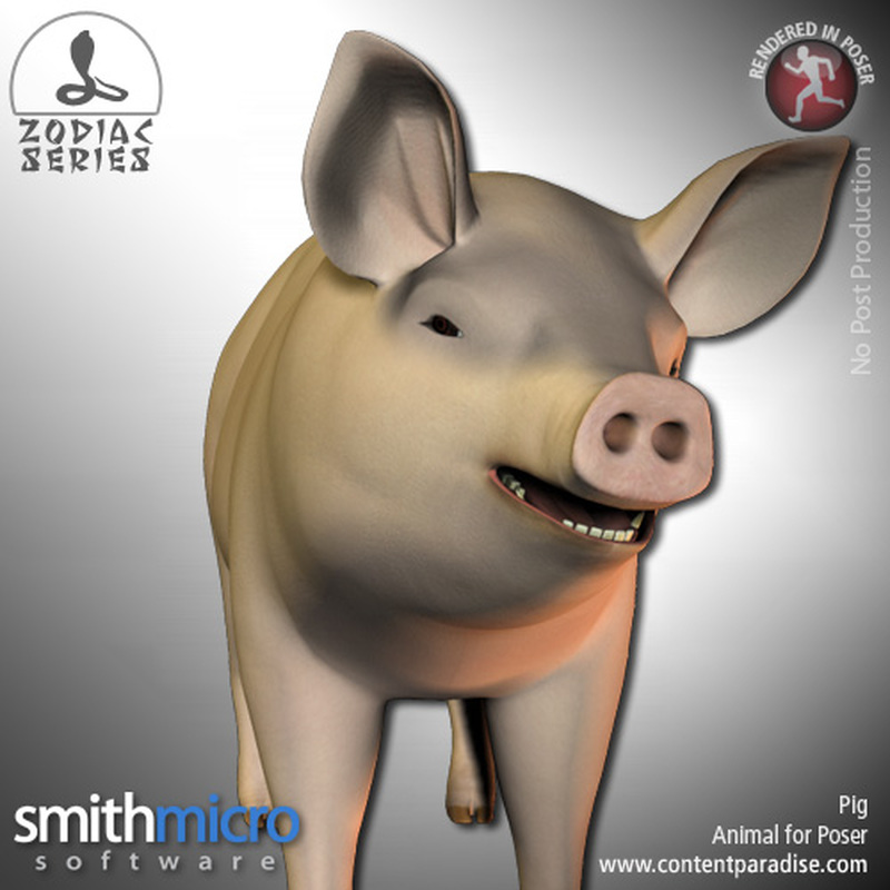 Pig (Chinese Zodiac Series) by N/A
