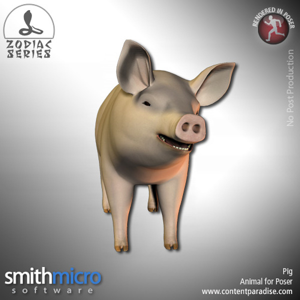 Pig (Chinese Zodiac Series) by N/A