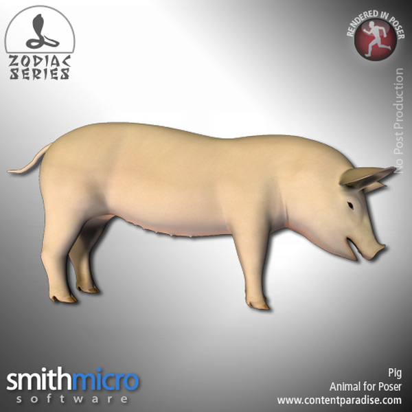 Pig (Chinese Zodiac Series) by N/A