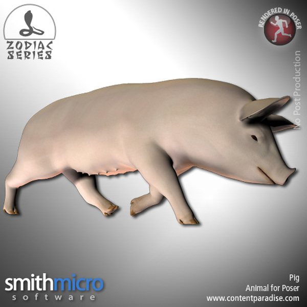 Pig (Chinese Zodiac Series) by N/A
