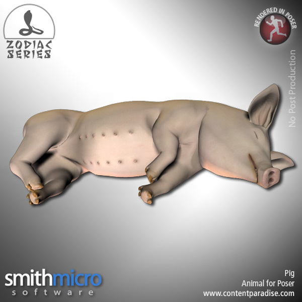 Pig (Chinese Zodiac Series) by N/A