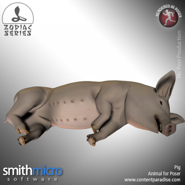 Pig (Chinese Zodiac Series) by N/A