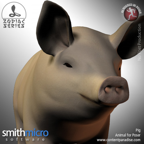 Pig (Chinese Zodiac Series) by N/A