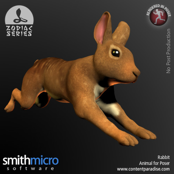 Rabbit (Chinese Zodiac Series) by N/A