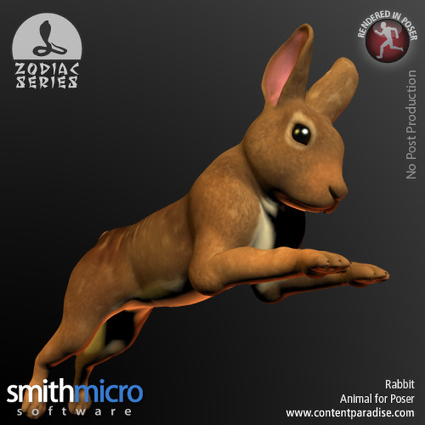 Rabbit (Chinese Zodiac Series) by N/A