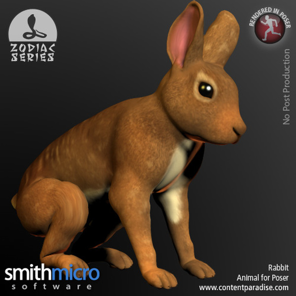 Rabbit (Chinese Zodiac Series) by N/A