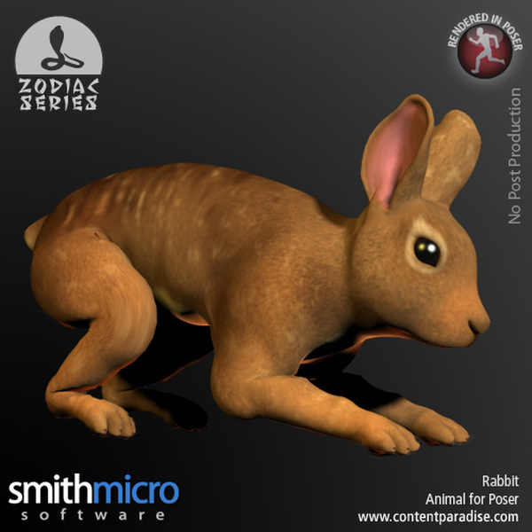 Rabbit (Chinese Zodiac Series) by N/A
