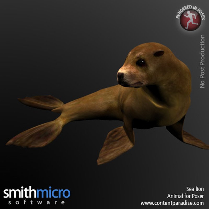 Sea Lion by N/A