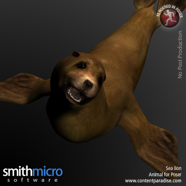 Sea Lion by N/A
