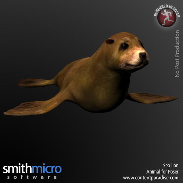 Sea Lion by N/A