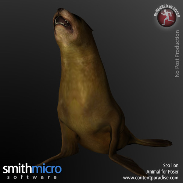 Sea Lion by N/A