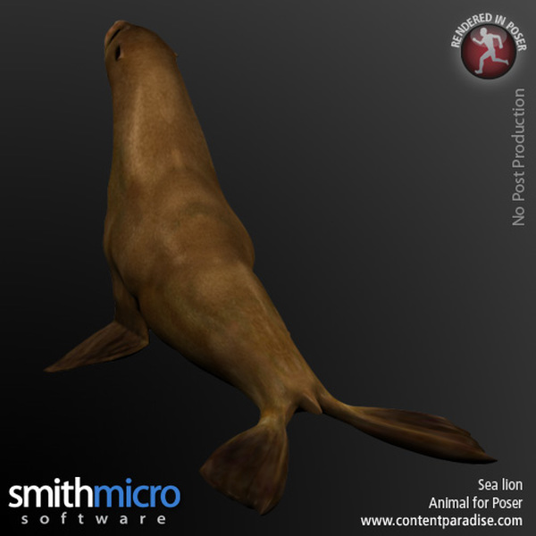 Sea Lion by N/A